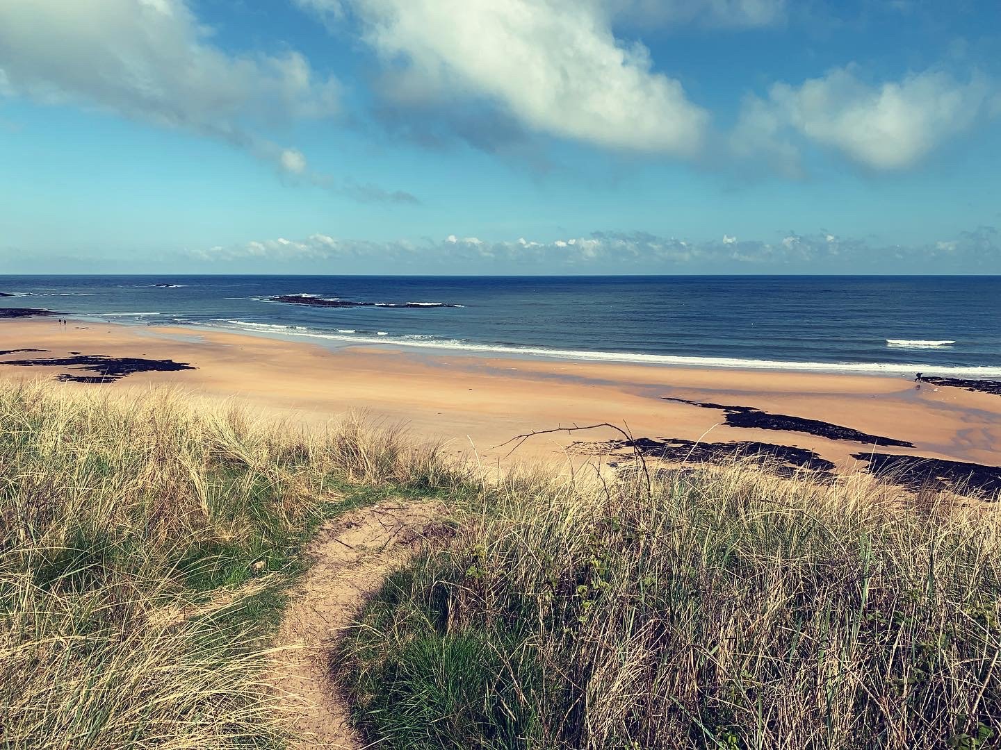 Expansive sandy beach with rolling dunes leading to the vast ocean, showing pathways to spiritual contemplation and healing